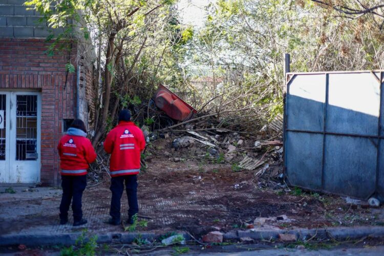 Cómo denunciar baldíos que puedan ser focos infecciosos y criaderos de dengue