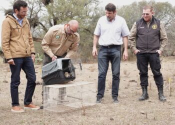 Liberaron aves recuperadas del cautiverio en Ascochinga