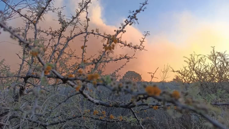 Vaticinan una primavera con clima muy seco en la provincia