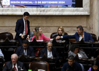 Los votos más curiosos de la sesión: las posturas de los «radicales con Peluca», el larretismo y Arrieta
