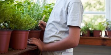 Convocatoria nacional para familias que quieran adoptar a un niño de nueve años