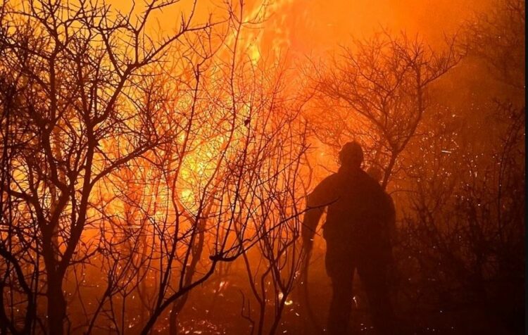 El fuego en Córdoba provoca evacuaciones: bomberos y vecinos luchan para proteger viviendas y vidas