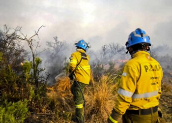 Hay cuatro focos activos : qué dijo el vocero de Gestión de Riesgo