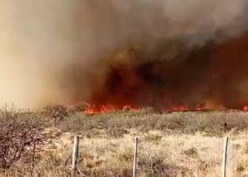 Está contenido el incendio en el Valle de Punilla