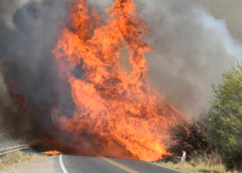 Incendios: el MPF de Córdoba emitió un comunicado desmintiendo versiones sobre los detenidos