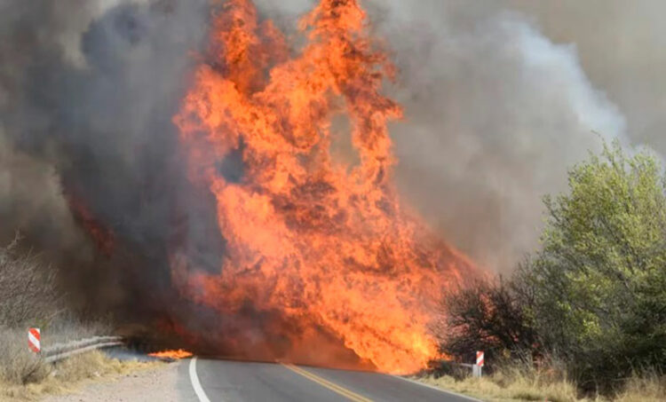 Incendios: el MPF de Córdoba emitió un comunicado desmintiendo versiones sobre los detenidos