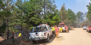 El fuego se consumió unas 12.600 hectáreas en la zona de Calamuchita