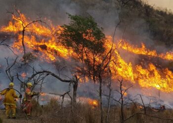Ya son siete los detenidos por los incendios en la provincia
