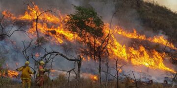 Ya son siete los detenidos por los incendios en la provincia