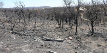 La Provincia declaró el desastre agroecológico por los incendios