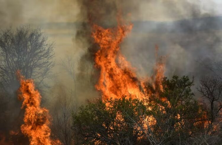 Córdoba enfrenta incendios incontrolables que arrasan con todo a su paso