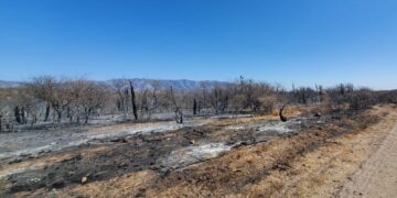 La Comisión de Emergencia Agropecuaria solicitó el estado de desastre tras los incendios