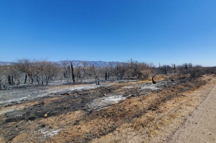 La Comisión de Emergencia Agropecuaria solicitó el estado de desastre tras los incendios