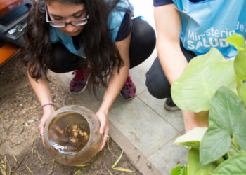 En dos semanas de descacharreo se eliminaron 53 toneladas de recipientes acumuladores de agua