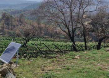 Localidades afectadas por los incendios avanzan en la construcción de centros comerciales
