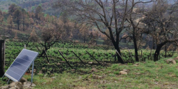 Localidades afectadas por los incendios avanzan en la construcción de centros comerciales