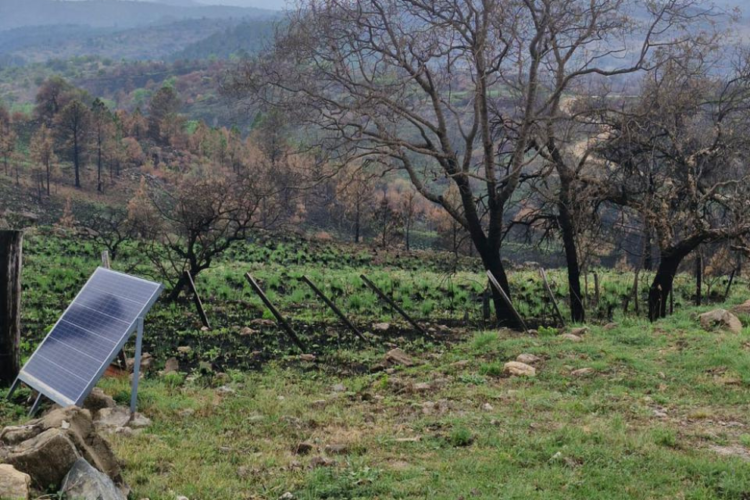 Localidades afectadas por los incendios avanzan en la construcción de centros comerciales