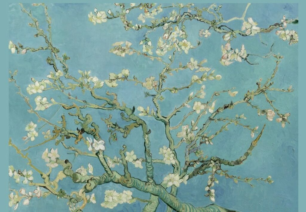 El universo de Van Gogh llega al Museo Caraffa