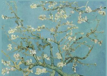 El universo de Van Gogh llega al Museo Caraffa