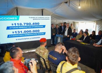 Llaryora dio a conocer las claves del plan provincial de ayuda tras los incendios