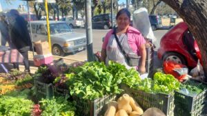 El sol sale para todos en la Feria Agroecológica de la Ciudad Universitaria