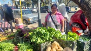 El sol sale para todos en la Feria Agroecológica de la Ciudad Universitaria