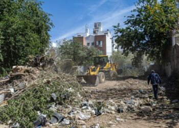 Más de 80 terrenos baldíos en la mira por delitos ambientales