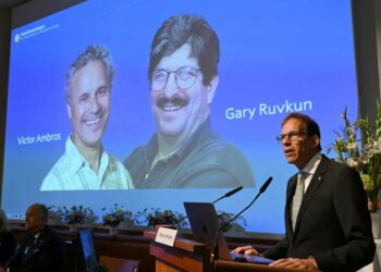 El Nobel de Medicina reconoció el descubrimiento de los microARN