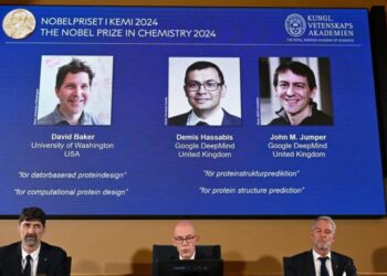 El Nobel de Química reconoció la investigación sobre proteínas con biología computacional