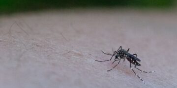 La UNC presentó los modelos predictivos contra el dengue