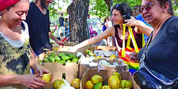 El sol sale para todos en la Feria Agroecológica de la Ciudad Universitaria