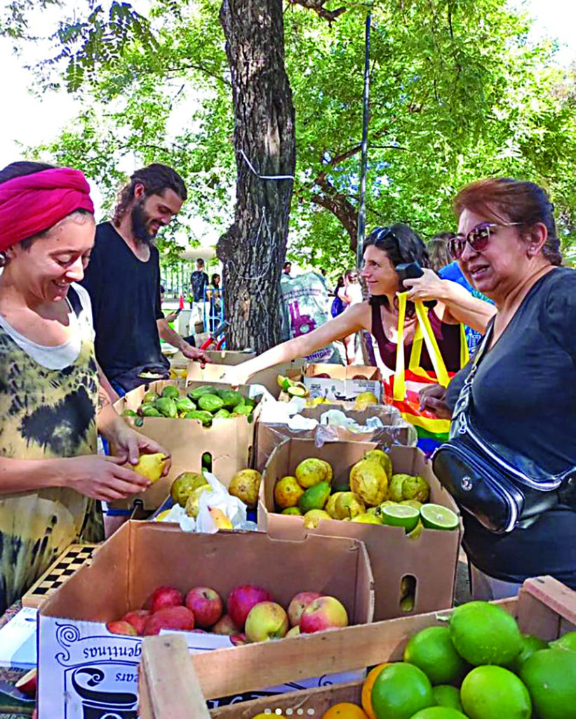 El sol sale para todos en la Feria Agroecológica de la Ciudad Universitaria