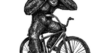 Platón y las ciclovías Platón y las ciclovías