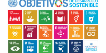 Los ODS y el pacto para el futuro