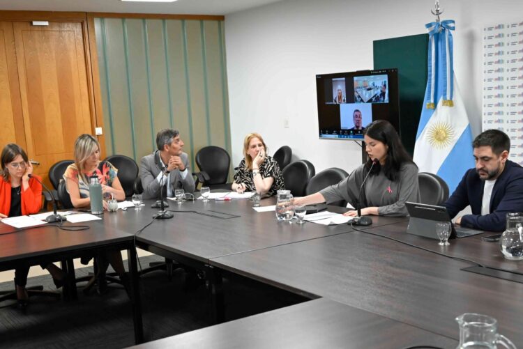 Oficialistas y opositores debatieron ayer sobre los proyectos de Ficha Limpia.