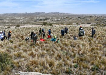 Nuevo paquete de medidas para los ecosistemas afectados