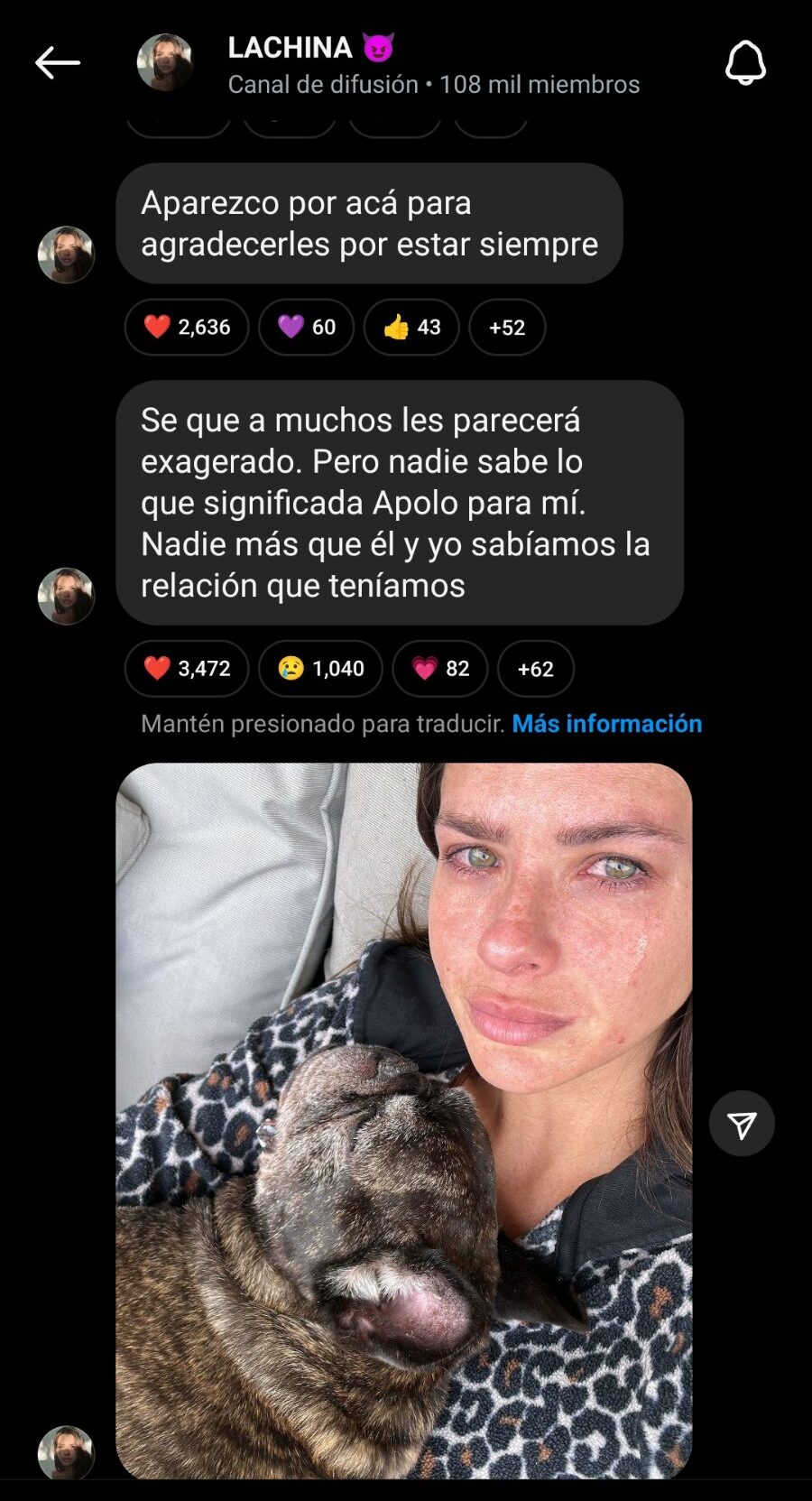 La China Suárez reabrió su perfil en las redes sociales con un importante anuncio