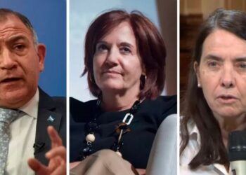 Vigo y Juez votarán en contra del veto, mientras Álvarez Rivero anticipa su alineamiento con Milei