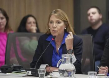 Veto: 11 diputados cordobeses votaron en contra, y seis a favor