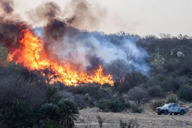 Condenaron tres años de prisión al responsable del incendio forestal del paraje Buena Vista