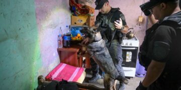 Cayó “C Pequeño”, un ladrón de 16 años con múltiples antecedentes