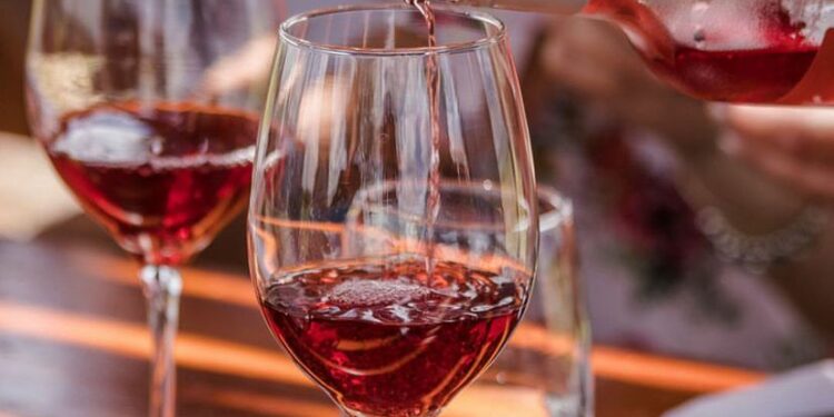 Caminos del Vino: un viaje sensorial por cinco viñedos de Córdoba