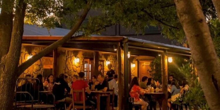 Caminos del Vino: un viaje sensorial por cinco viñedos de Córdoba