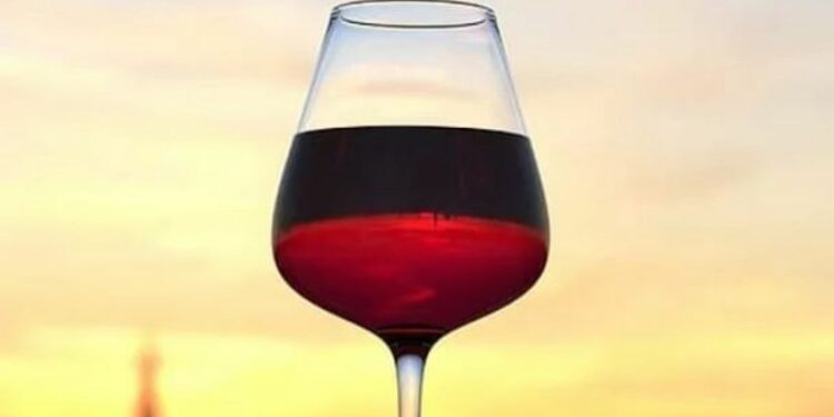 Caminos del Vino: un viaje sensorial por cinco viñedos de Córdoba