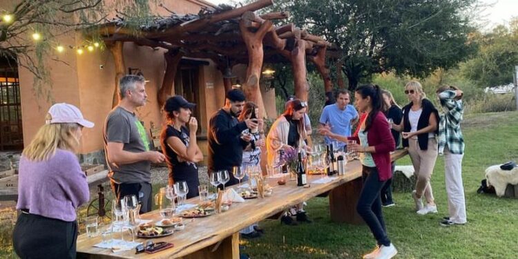 Caminos del Vino: un viaje sensorial por cinco viñedos de Córdoba