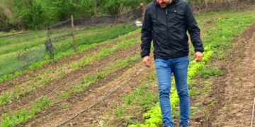 Buscan impulsar una ley de fomento para la agroecología