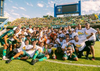 Aldosivi venció a San Martín y se quedó con el primer ascenso a la Primera División