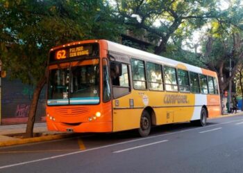 Un colectivero, ex jugador de Belgrano, fue detenido por golpear a un taxista
