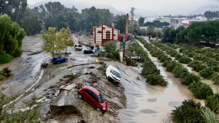 (Foto de ARCHIVO)
Coches destrozados tras el paso del la Dana. A 30 de octubre de 2024, en Málaga, Andalucía (España). La Dana hace estragos en la provincia de Málaga  Álex Zea / Europa Press
30/10/2024