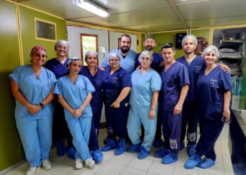 Se realizó con éxito el primer trasplante renal con asistolia